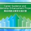 Career-Guidance-and-Internship-Enhancement-Project